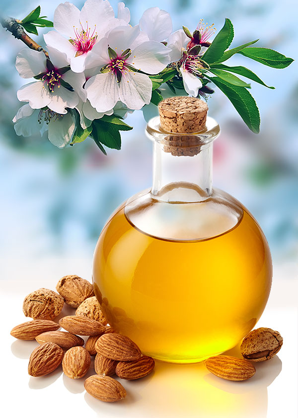 Almond flower and almond oil bottle