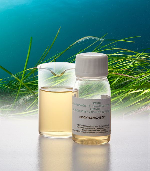 ProdhylemGae CE Hydroglyzerin-Extrakt aus der Blau-Grün-Alge Spirulina