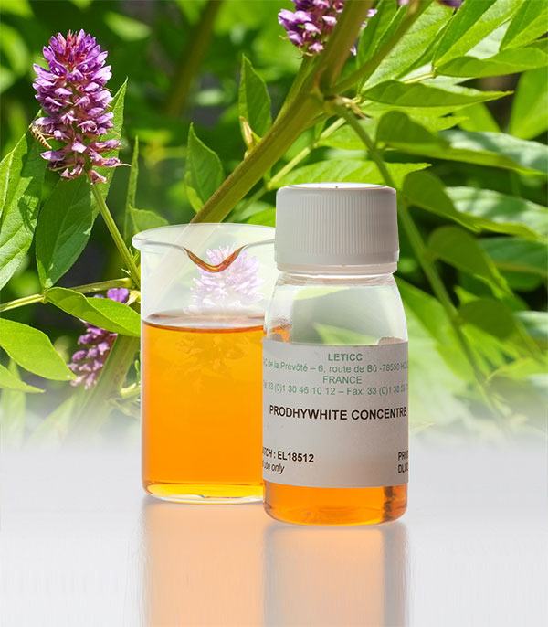 Prodhywhite concentré KAF a mixture of hydroglycolic plant extracts