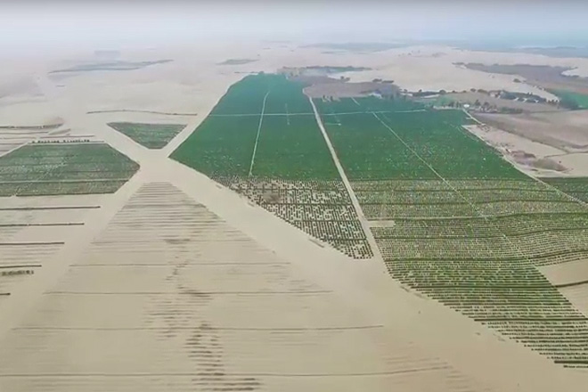 Aerial view Jojoba Fields