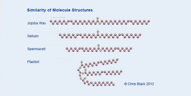 Shema of Similarity of Molecule Structures