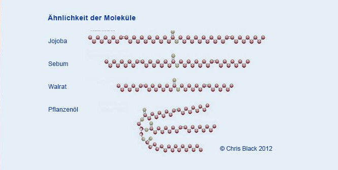 Schema der Ähnlichkeit von Molekülstrukturen